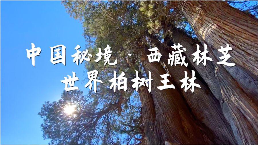 嘉善县发改局召开2023年度综合考核会议